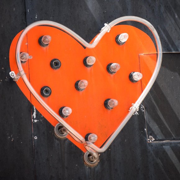 Meet your Posher, Wendy - Picture 3 of 3